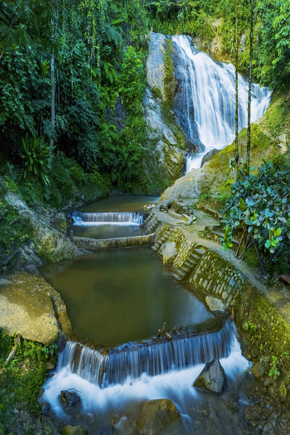 Aventura en la selva